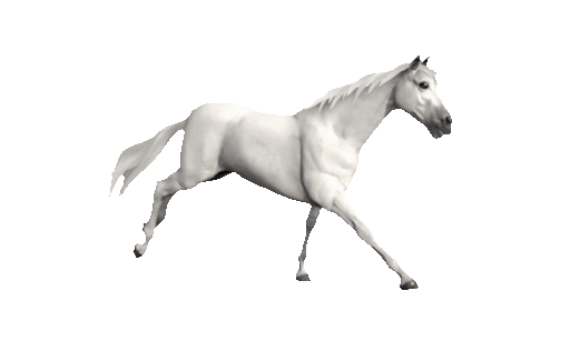 galloping horse